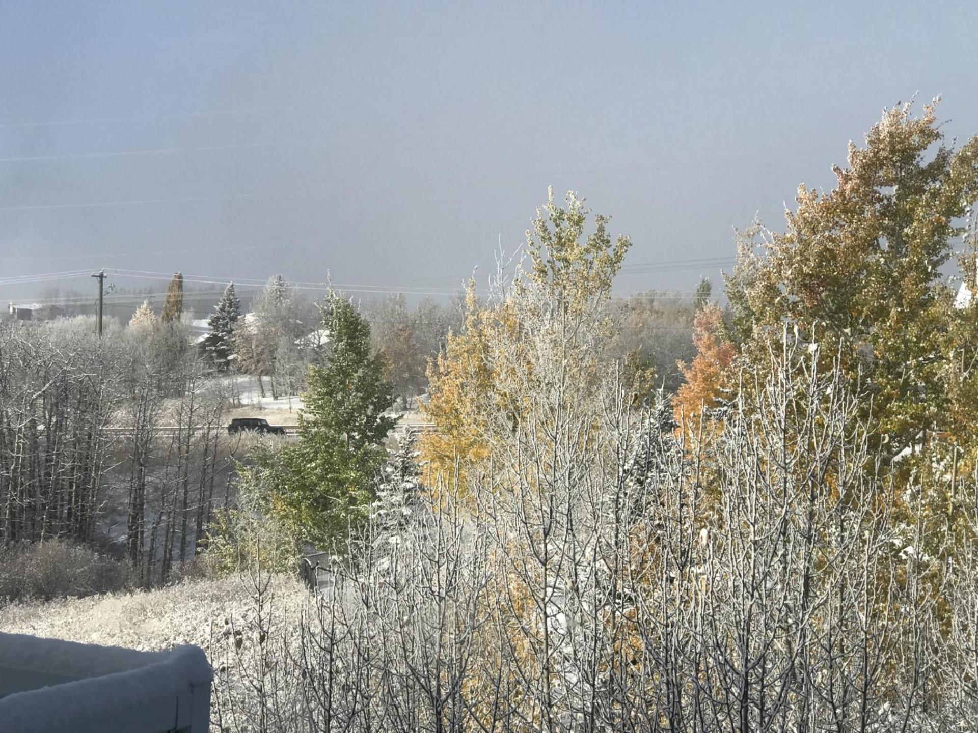民宿ann's House In Calgary
